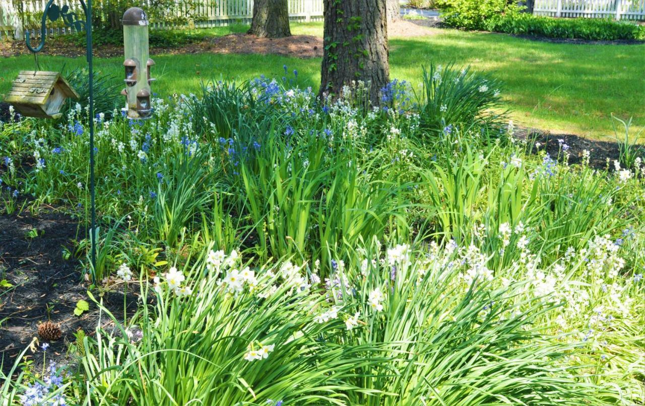 Meris Gardens B&B 베다니 해변 외부 사진